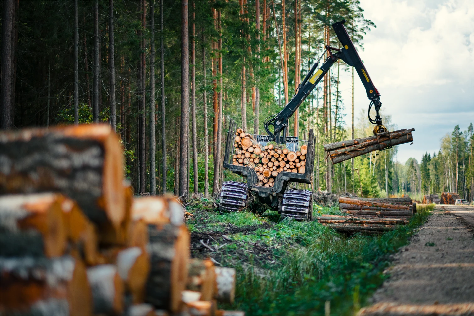 AdobeStock_310138689